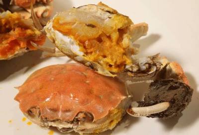 阳澄湖大闸蟹生长过程中靠吃什么食物?