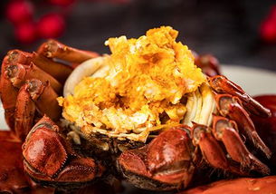 螃蟹能和生菜一起吃吗螃蟹和生菜一起吃多了怎么办 乐哈健康网